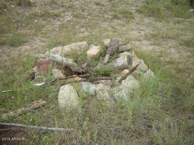 787 Running Elk Road Payson, AZ 85541 - Photo 17 of 22 DSC09694