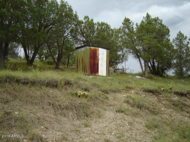 787 Running Elk Road Payson, AZ 85541 - Photo 18 of 22 DSC09695