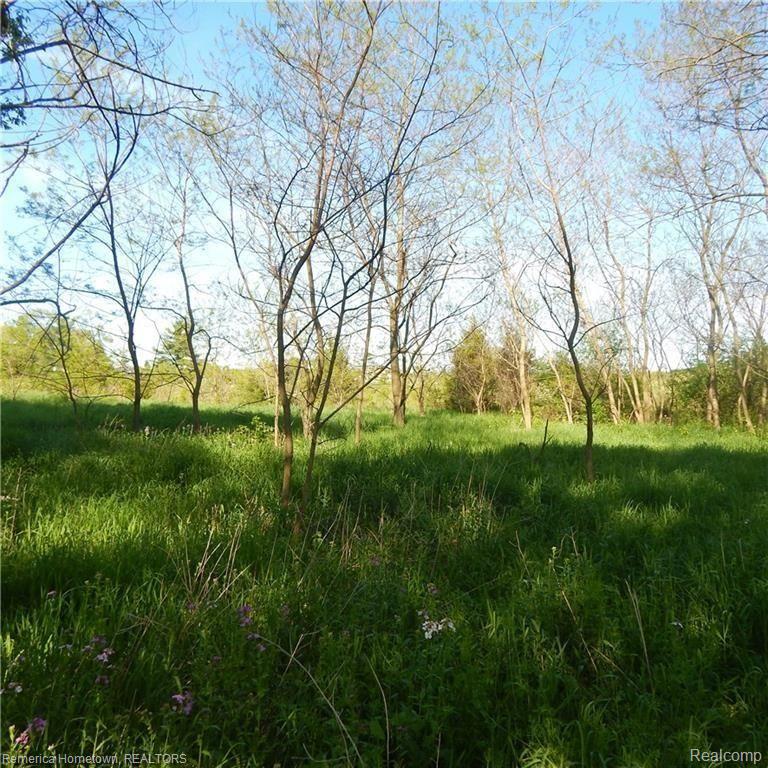 50465 West Seven Mile Road Northville, MI 48168 - Photo 7 of 9