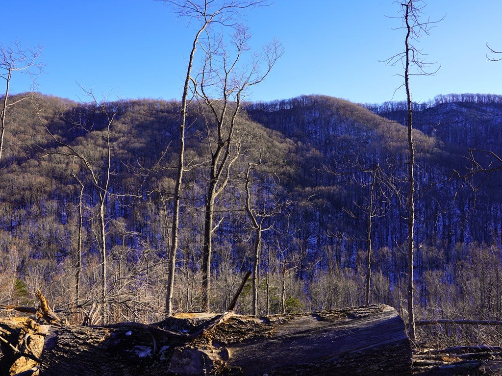 Tbd Shooting Crk Road Ferrum, VA 24088 - Photo 25 of 59 Gallery Image 25