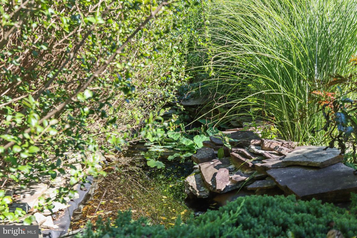 2227 Coon Club Road Westminster, MD 21157 - Photo 6 of 52 Featuring a pond with Water Lilies