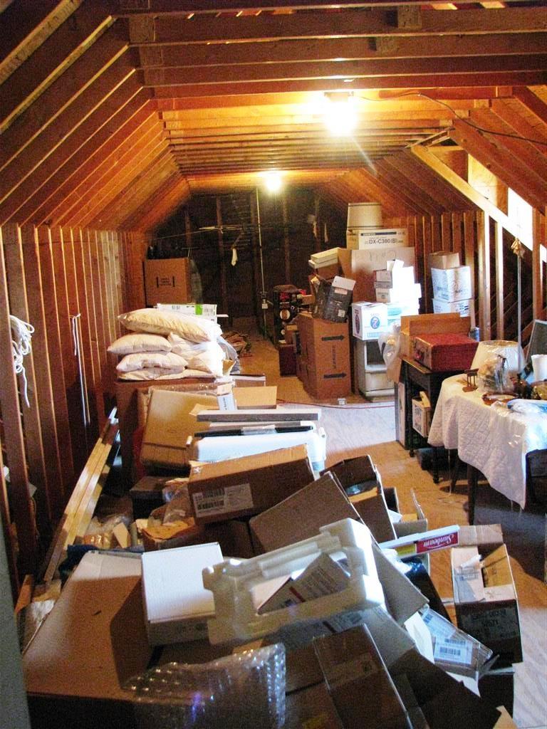 6930 Chestnut Ridge Road Eidson, TN 37731 - Photo 14 of 21 lots of light and space in the attic