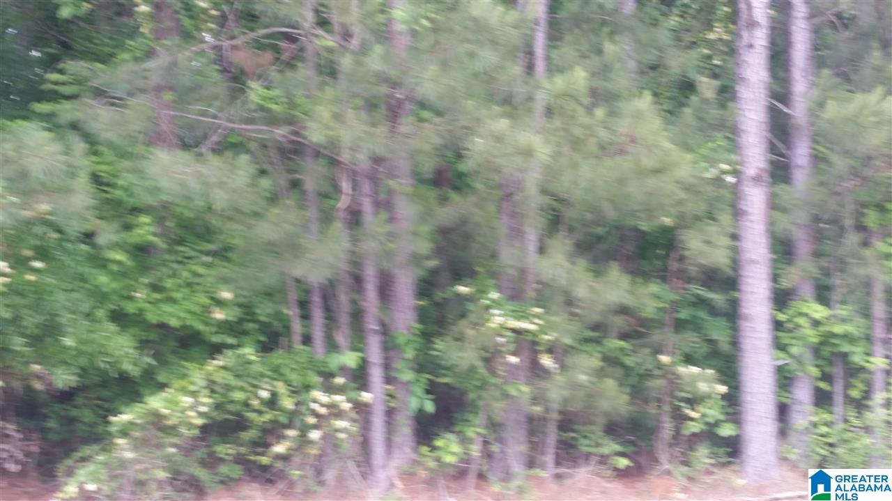 3527 McIntosh Road, Unit 12 Oxford, AL 36203 - Photo 12 of 16