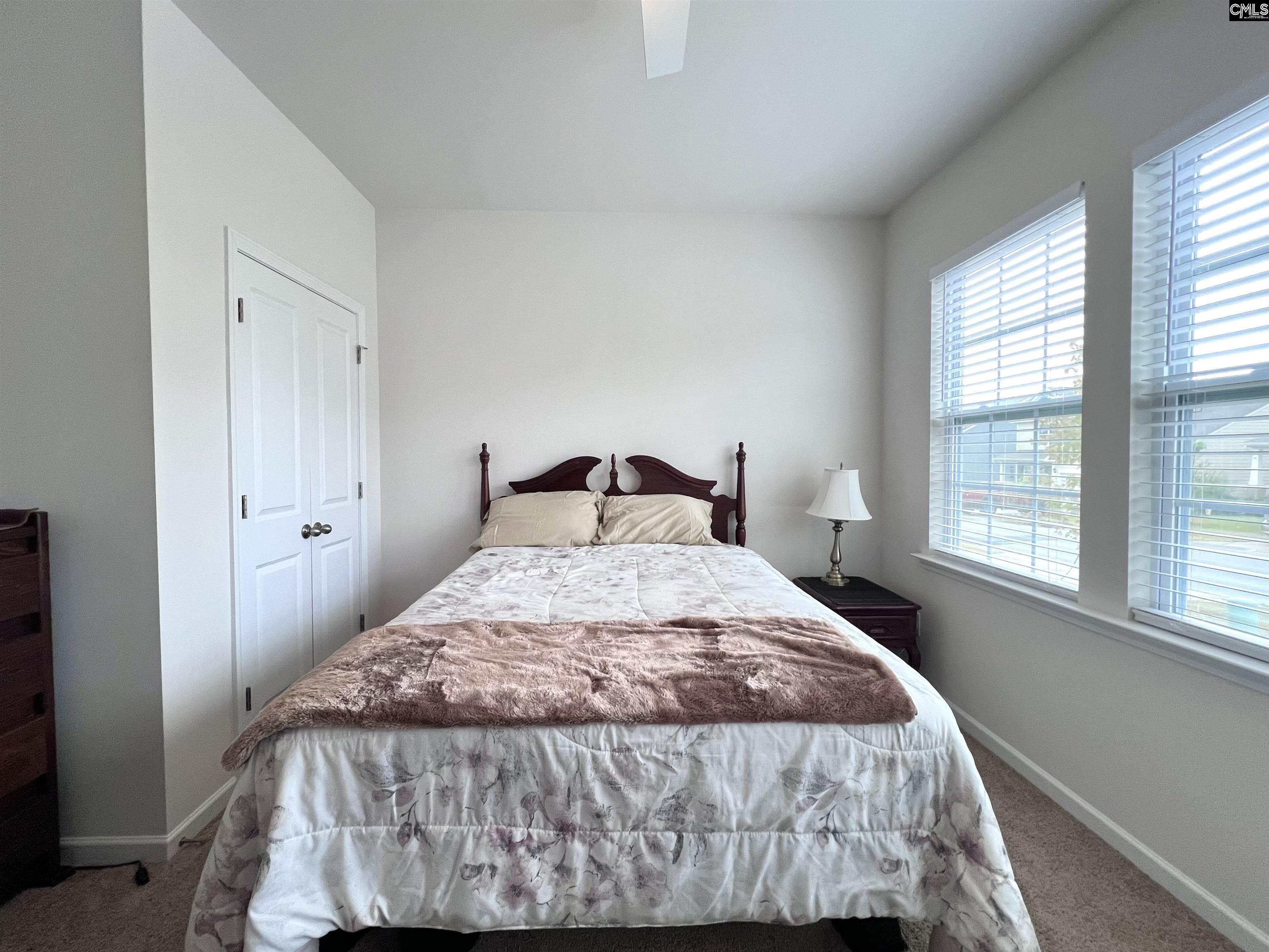 819 Trident Maple Lane Chapin, SC 29036 - Photo 28 of 46