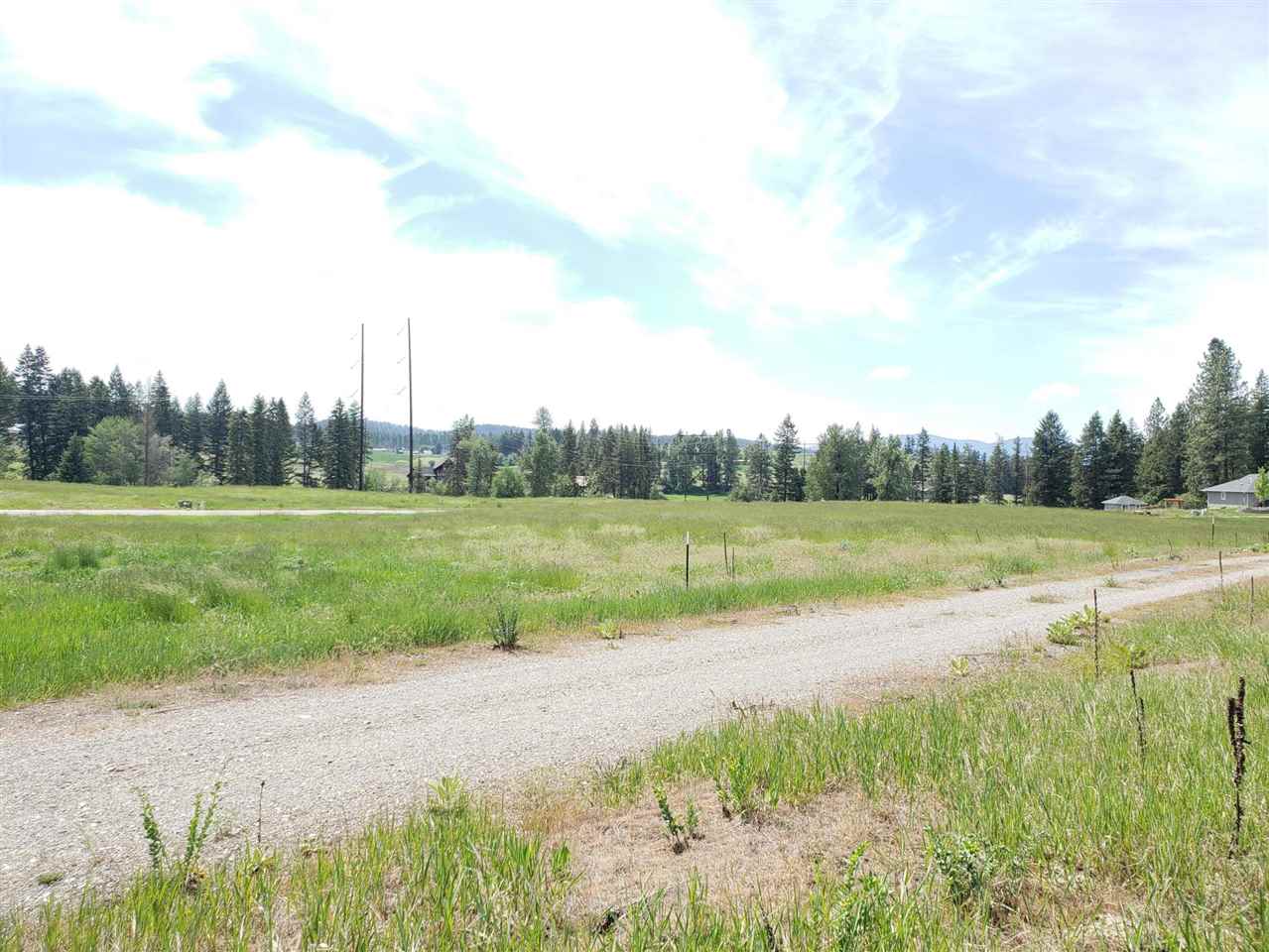 2135 Ringneck Loop Colville, WA 99114 - Photo 5 of 7 Gallery Image 5