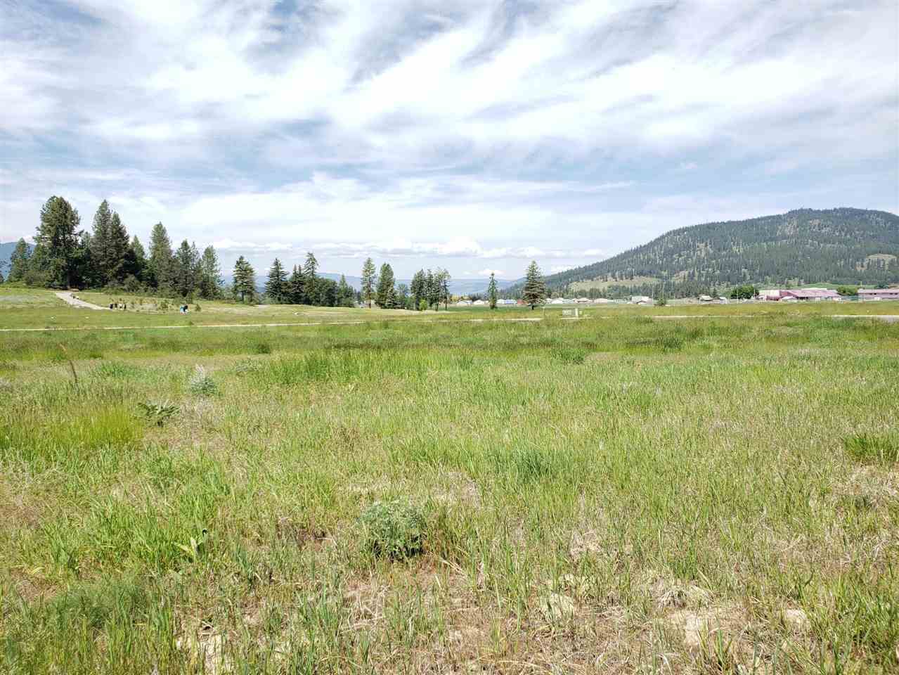 2135 Ringneck Loop Colville, WA 99114 - Photo 6 of 7 Gallery Image 6