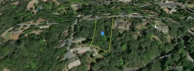 a close up of a plant in a garden