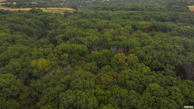 $377,282 | 34202 395th Avenue, Baylis, IL 62314