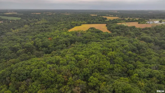 $377,282 | 34202 395th Avenue, Baylis, IL 62314