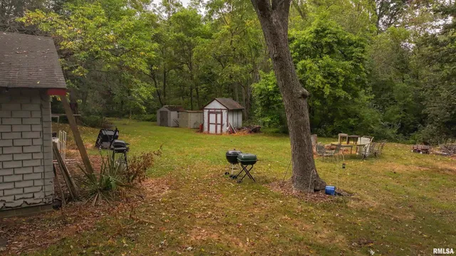 $377,282 | 34202 395th Avenue, Baylis, IL 62314