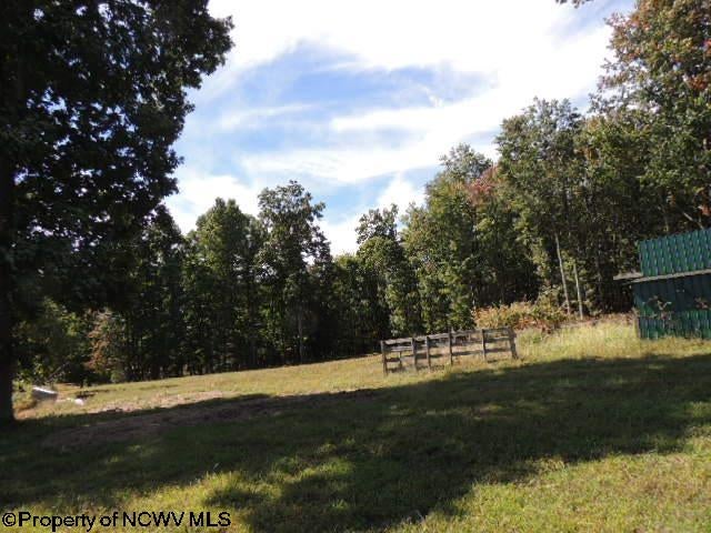 463-489 Slab Cp Road Independence, WV 26374 - Photo 44 of 49 Gallery Image 44