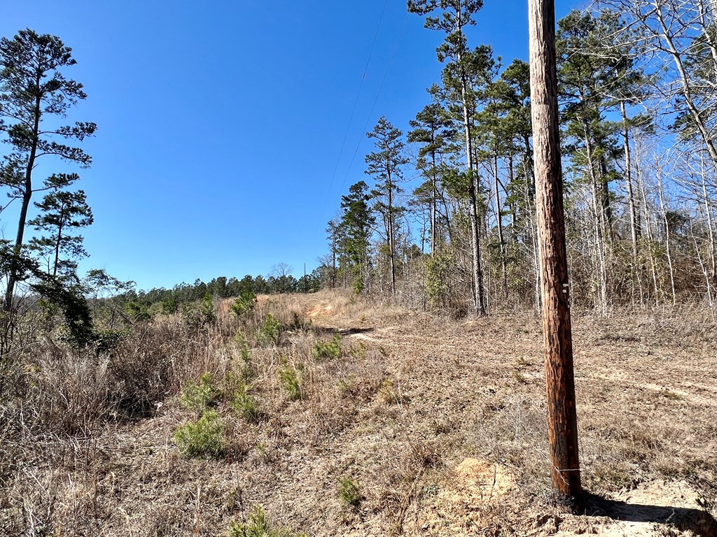 0 County Road 97 Abbeville, AL 36310 - Photo 50 of 53