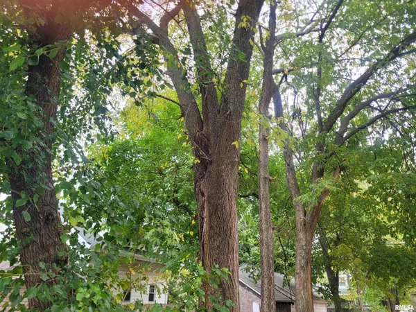 $115,000 | 1220 North University Street, Peoria, IL 61606