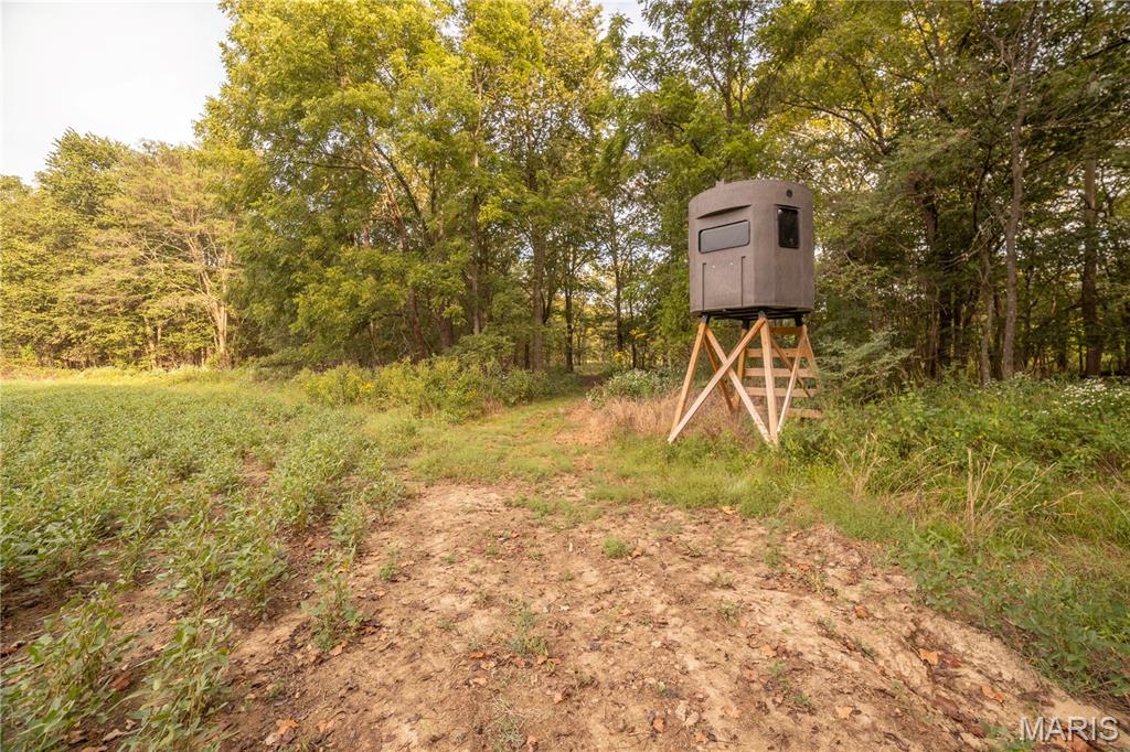 0 Abbott Road Bellflower, MO 63333 - Photo 51 of 86 Gallery Image 51