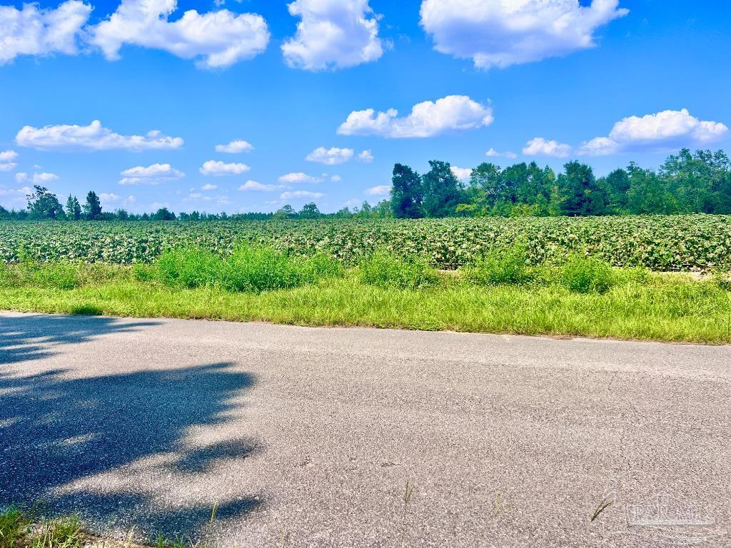 Lot 11 Sid Hayes Road Jay, FL 32565 - Photo 14 of 18 Gallery Image 14