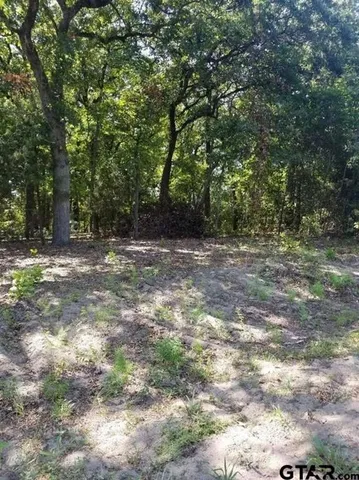 a view of outdoor space with trees