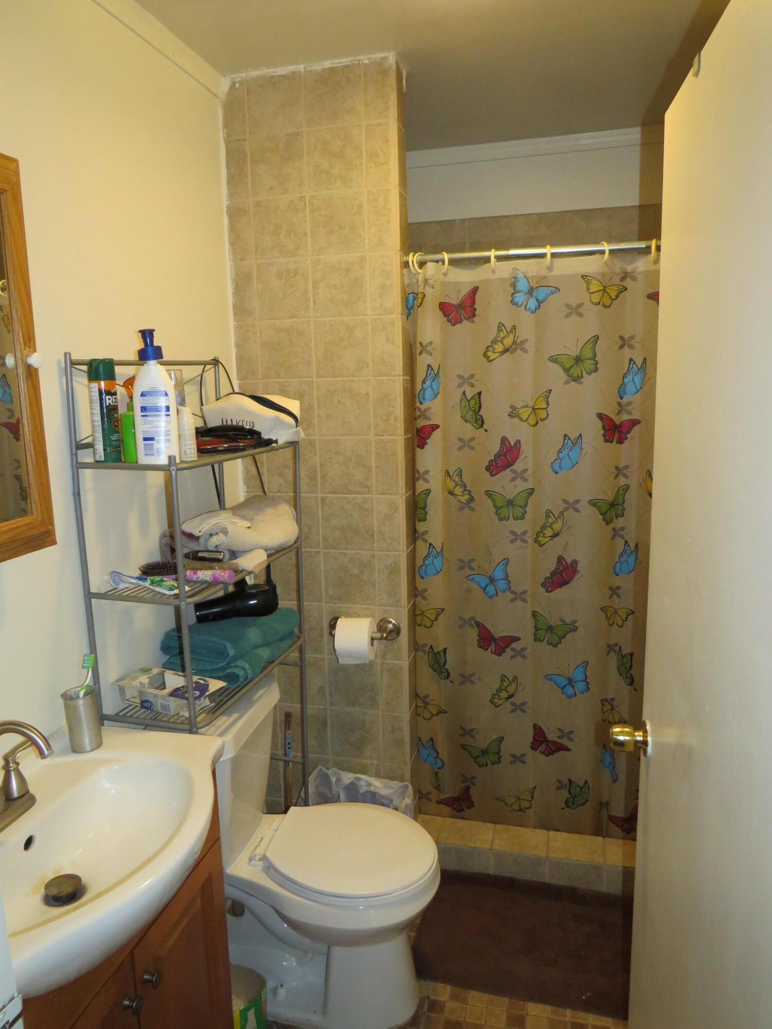 8454 South Alger Road Perrinton, MI 48871 - Photo 18 of 31 IMG_7949