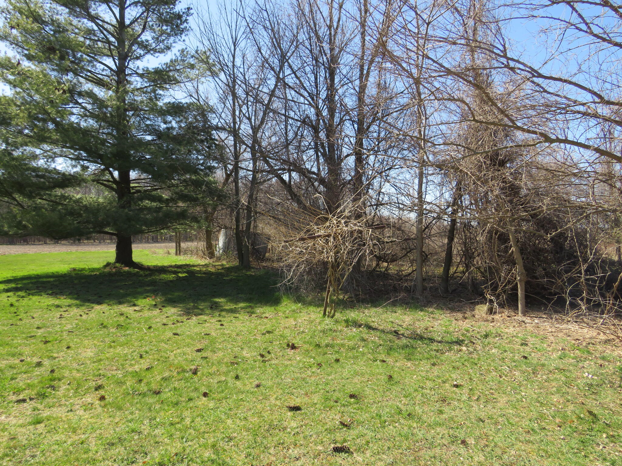 8454 South Alger Road Perrinton, MI 48871 - Photo 26 of 31 IMG_7844