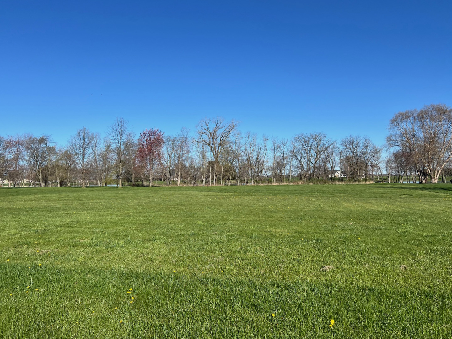 Lot 8 Bittersweet Drive St. Anne, IL 60964 - Photo 2 of 4 a view of outdoor space with green field and trees