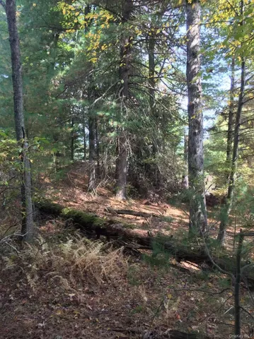 a view of outdoor space and trees