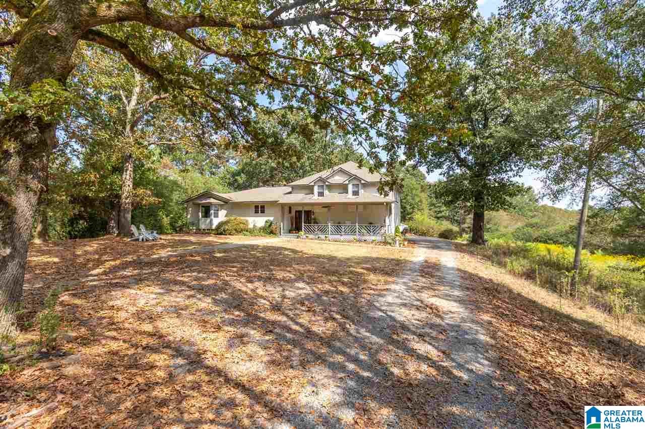 110 Mt Moriah Road Pell City, AL 35125 - Photo 4 of 44