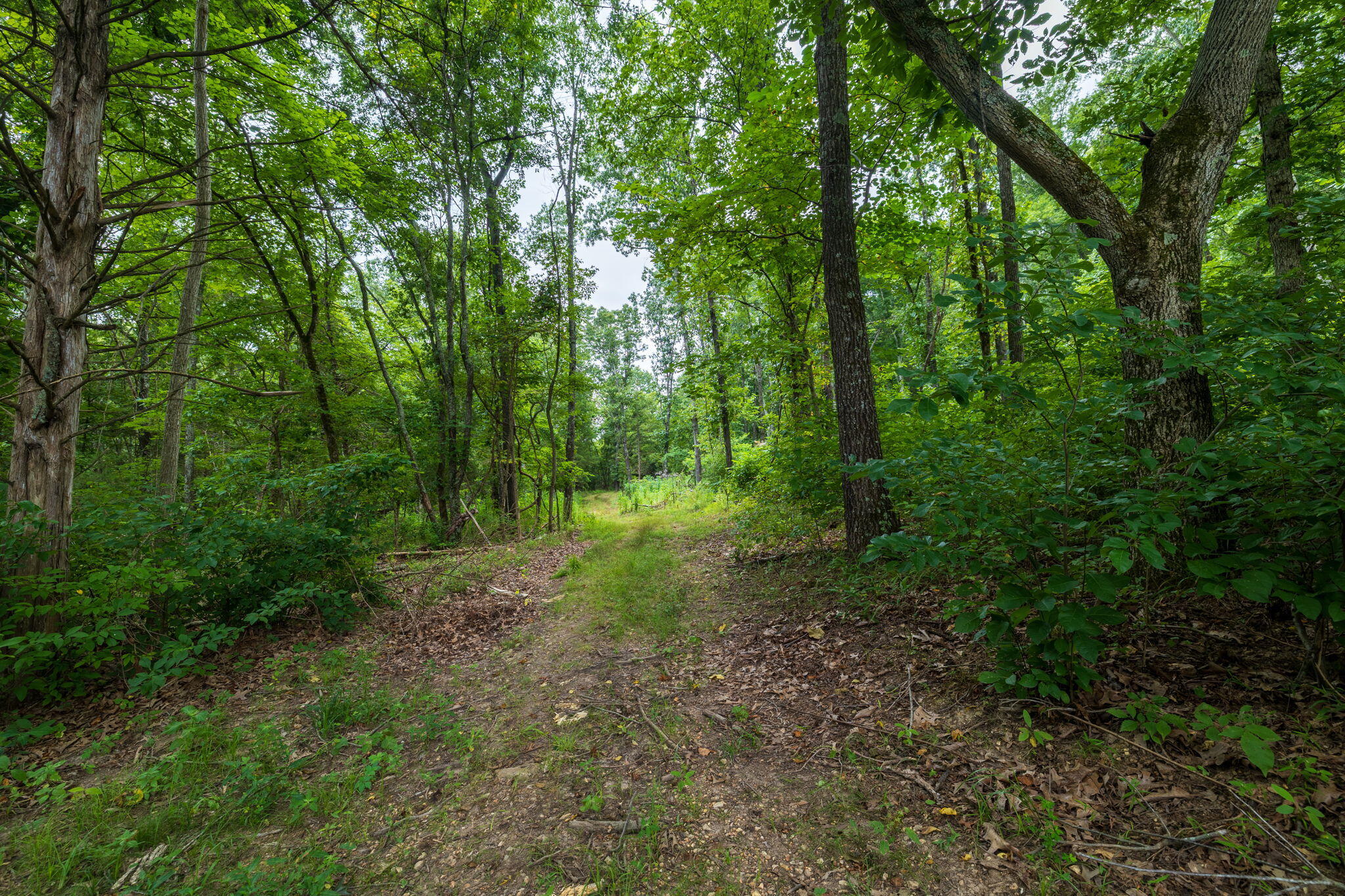 3 Rt Ava, MO 65608 - Photo 47 of 71 66-web-or-mls-A-66