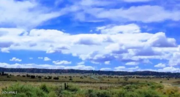 $4,500 | 32 Bell Brand Ranches, Unit 87, Chambers, AZ 86502