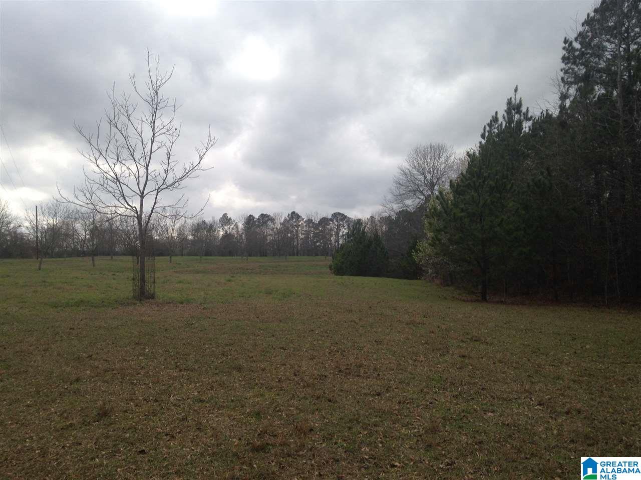 6007 County Road 41 Clanton, AL 35046 - Photo 31 of 37