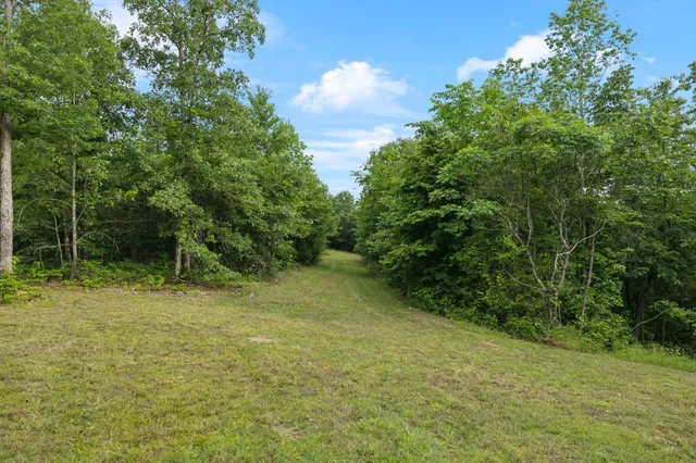 a backyard of a house with lots of trees