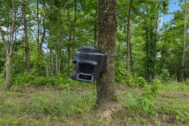 a backyard of a house with table and chairs large trees