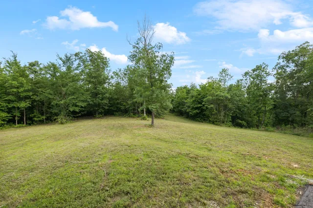 a view of a field with an trees in the background