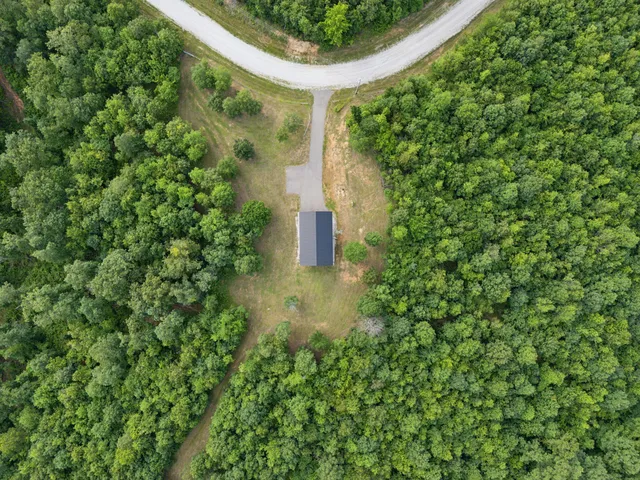 a view of a garden with a fountain