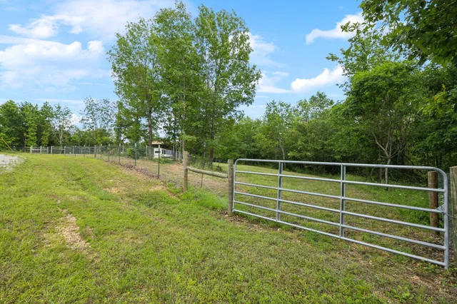 a view of a park with large trees
