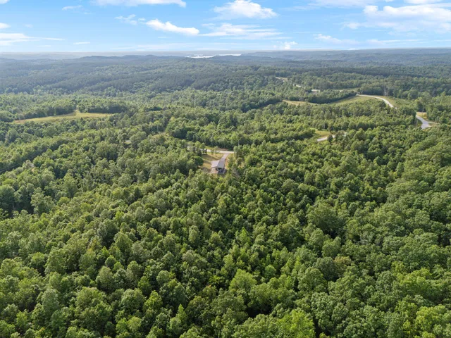 an aerial view of residential houses with outdoor space and trees