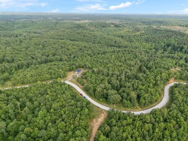 a view of a forest with a street