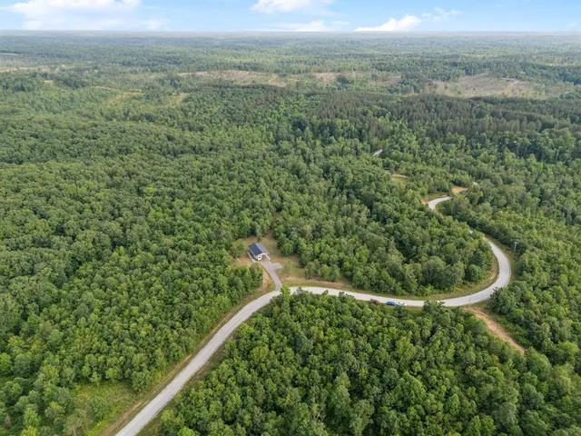 a view of a forest with a street