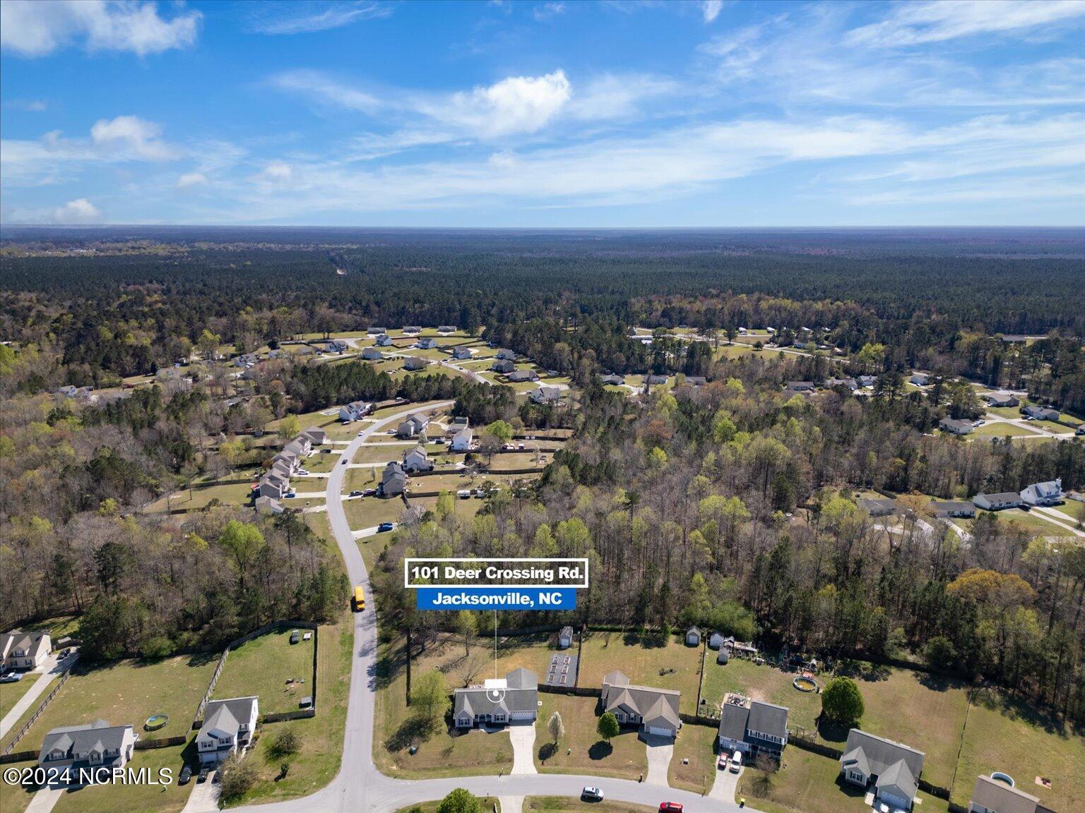 101 Deer Crossing Road Jacksonville, NC 28540 - Photo 52 of 54 57-FinalDroneEdited101-5