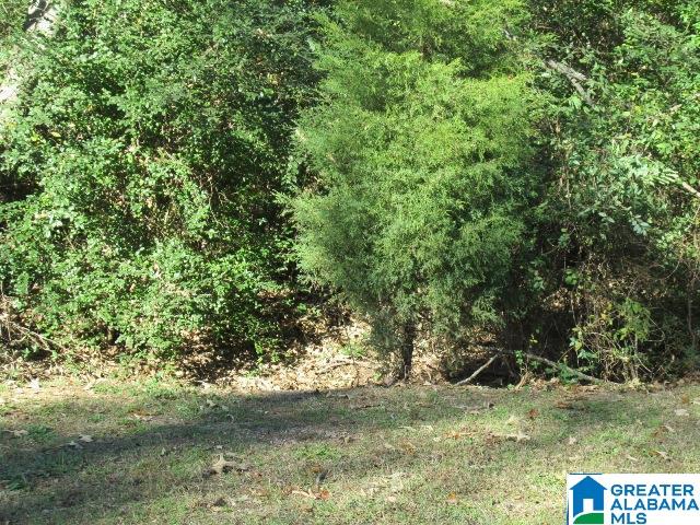 0 Eureka Road, Unit 64 Lincoln, AL 35096 - Photo 1 of 5