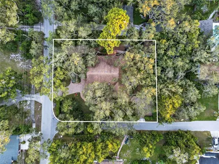 a backyard of a house with lots of green space and plants