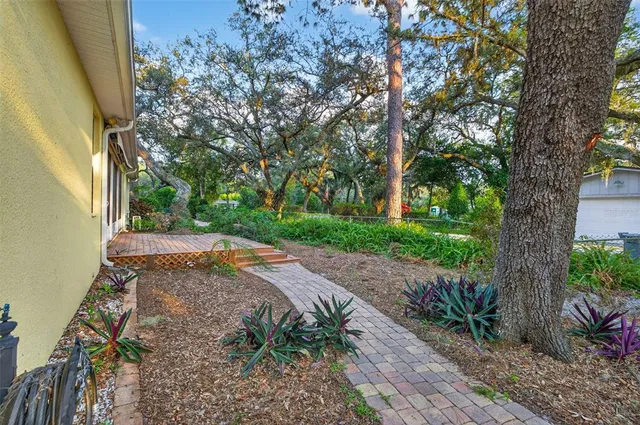 a view of a yard with plants and a large trees