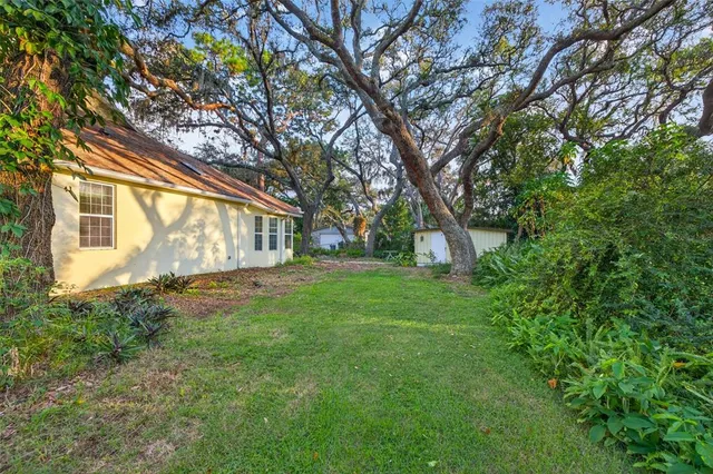a view of a yard with a house and a tree