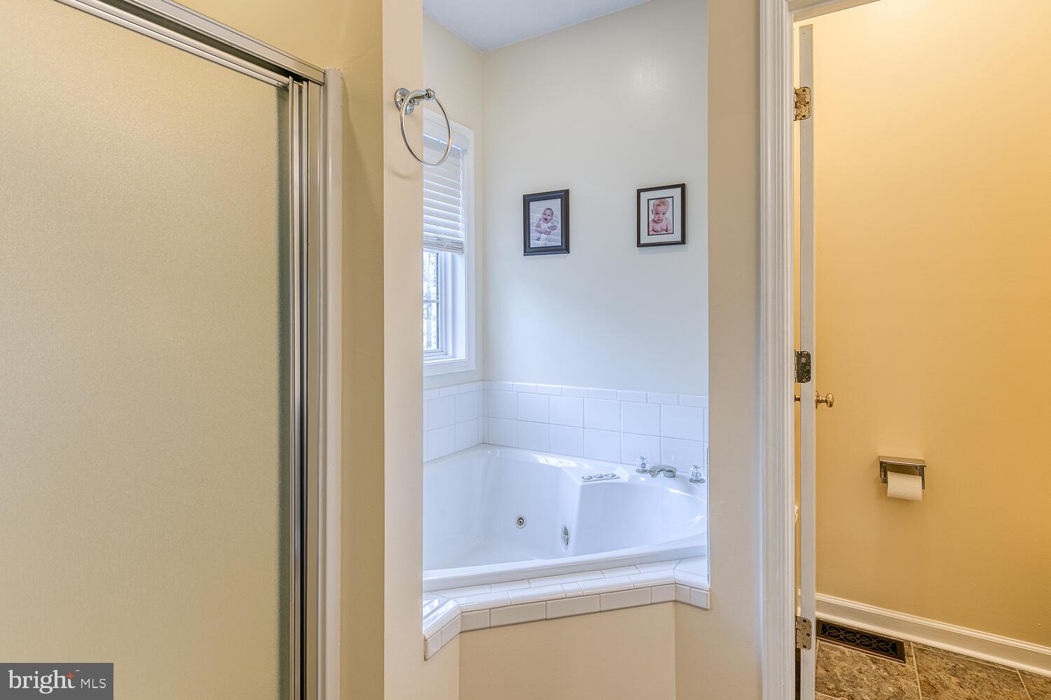 10344 Swift Road Partlow, VA 22534 - Photo 29 of 69 Separate Shower