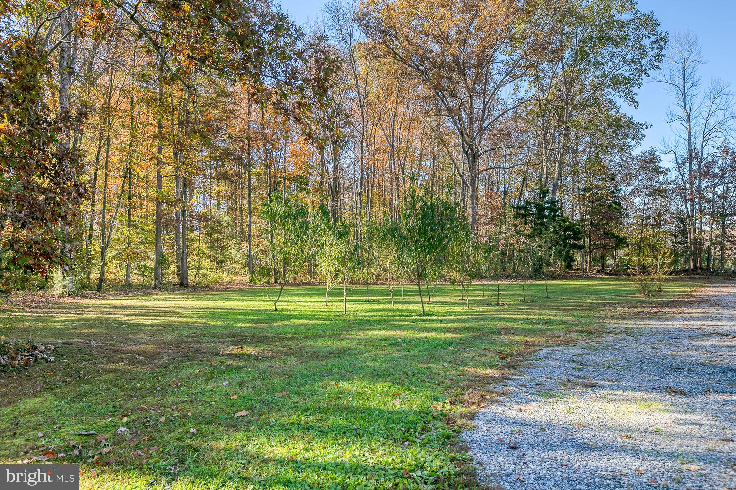 10344 Swift Road Partlow, VA 22534 - Photo 61 of 69