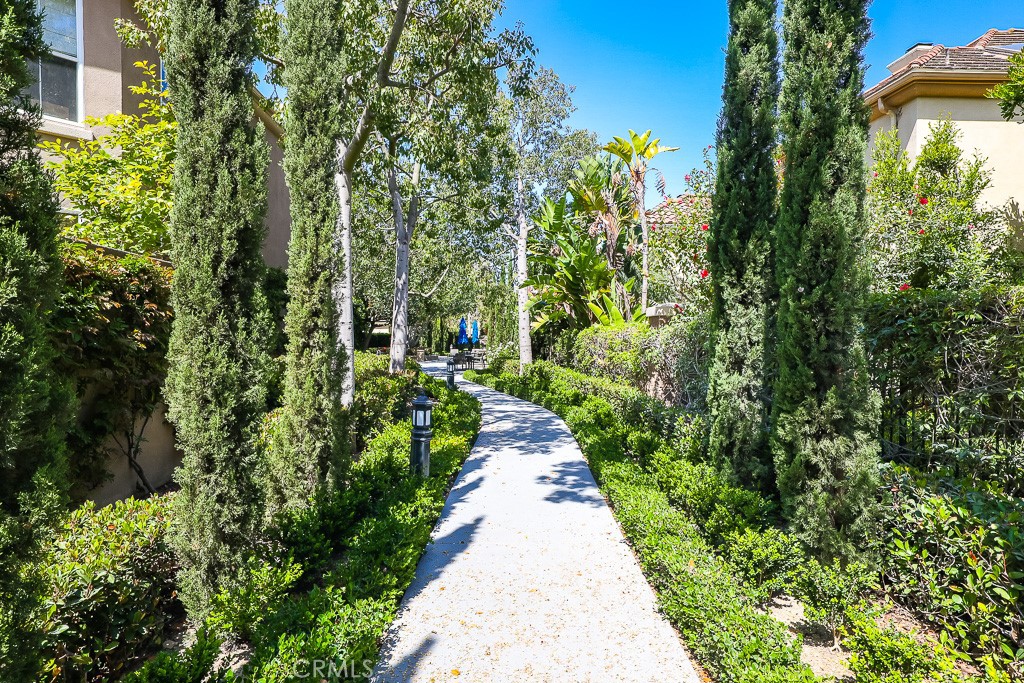 18 Lyon Newport Coast, CA 92657 - Photo 53 of 55 a view of a pathway both side of yard