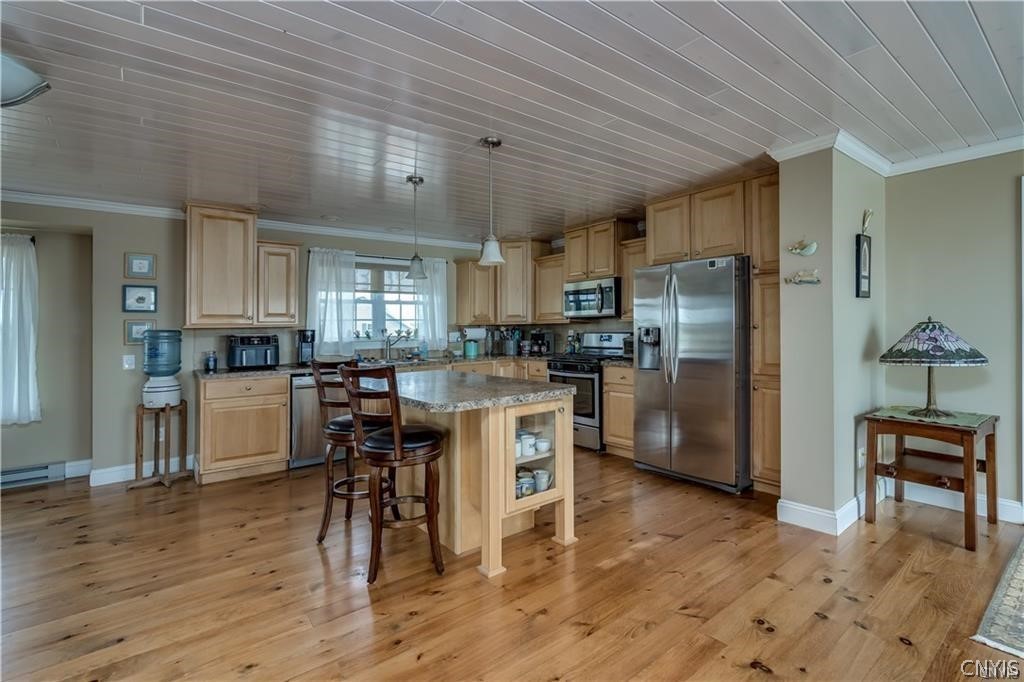 28008 Stony Point Road Cape Vincent, NY 13618 - Photo 18 of 47