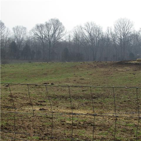 0 Sixteenth Model Road Wartrace, TN 37183 - Photo 12 of 19 a view of a yard next to a yard