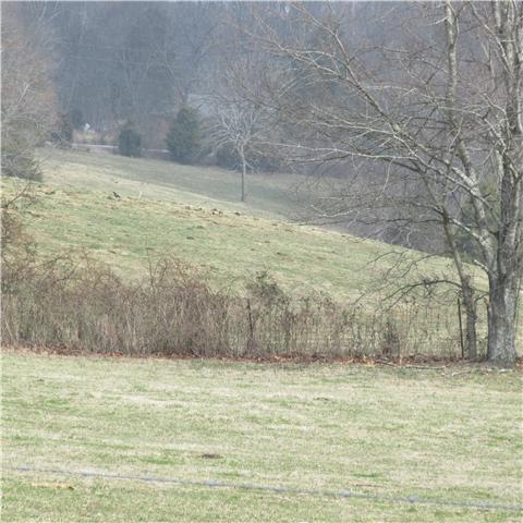 0 Sixteenth Model Road Wartrace, TN 37183 - Photo 13 of 19 a view of a yard