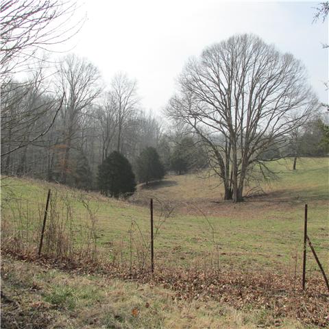 0 Sixteenth Model Road Wartrace, TN 37183 - Photo 14 of 19 a backyard of a house with lots of green space