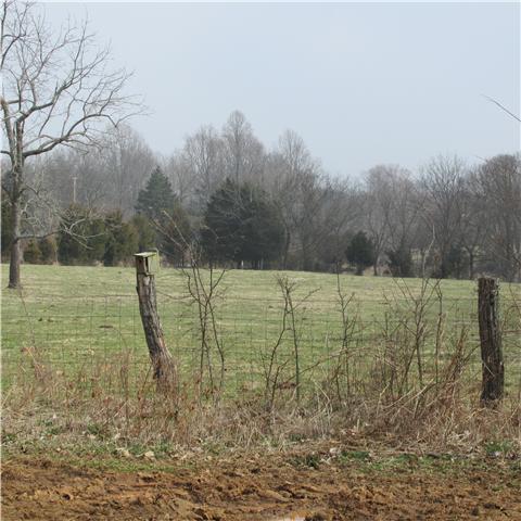 0 Sixteenth Model Road Wartrace, TN 37183 - Photo 15 of 19 a view of a garden