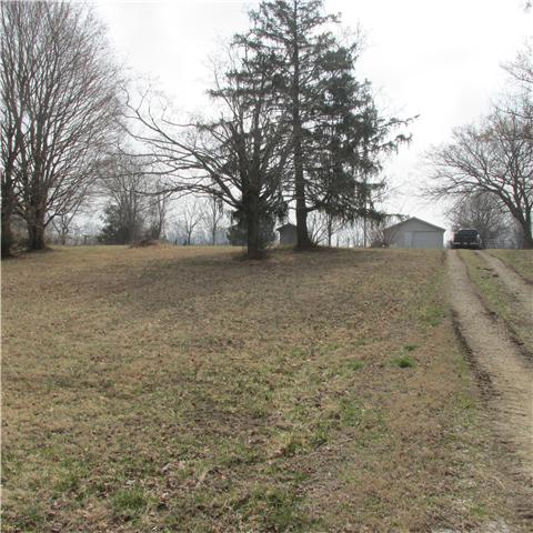 0 Sixteenth Model Road Wartrace, TN 37183 - Photo 18 of 19 a view of a yard with a trees